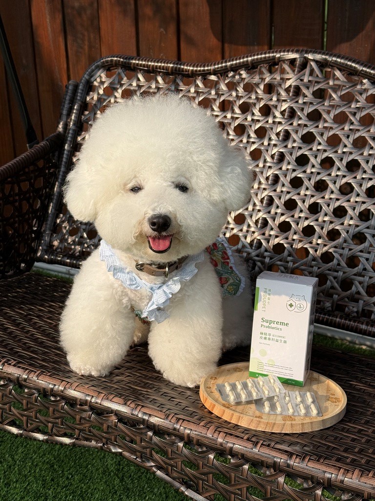 女人知己試用大隊,口碑行銷,部落客行銷,嬌寵醫生 極精萃 皮膚專科益生菌,保證新鮮活菌100億,皮膚保健益生菌,好吸收,幫助維持消化道機能,維持健康,可撥開膠囊使用以下方式均勻攪拌後，予以犬貓食用,●拌飼料　●拌罐頭　●拌鮮食　●拌肉泥,品牌創辦人是獸醫師，親自研發，吃得安心.放心,寵物預防醫學第一品牌,拒絕添加不必要成分